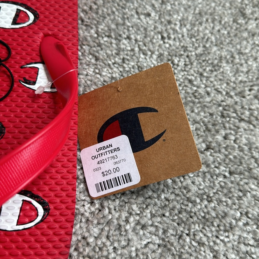 Champion - Picture 2 of 2